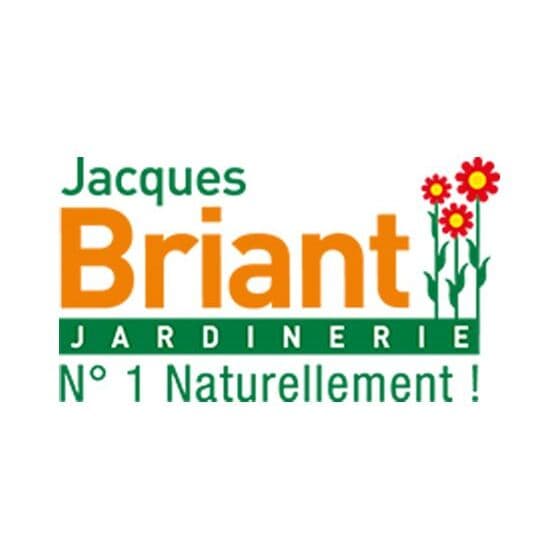Jacques Briant