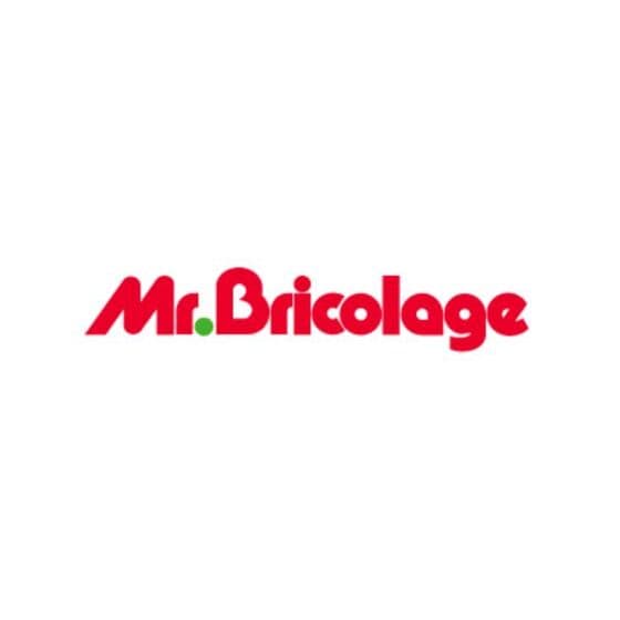 Mr. Bricolage